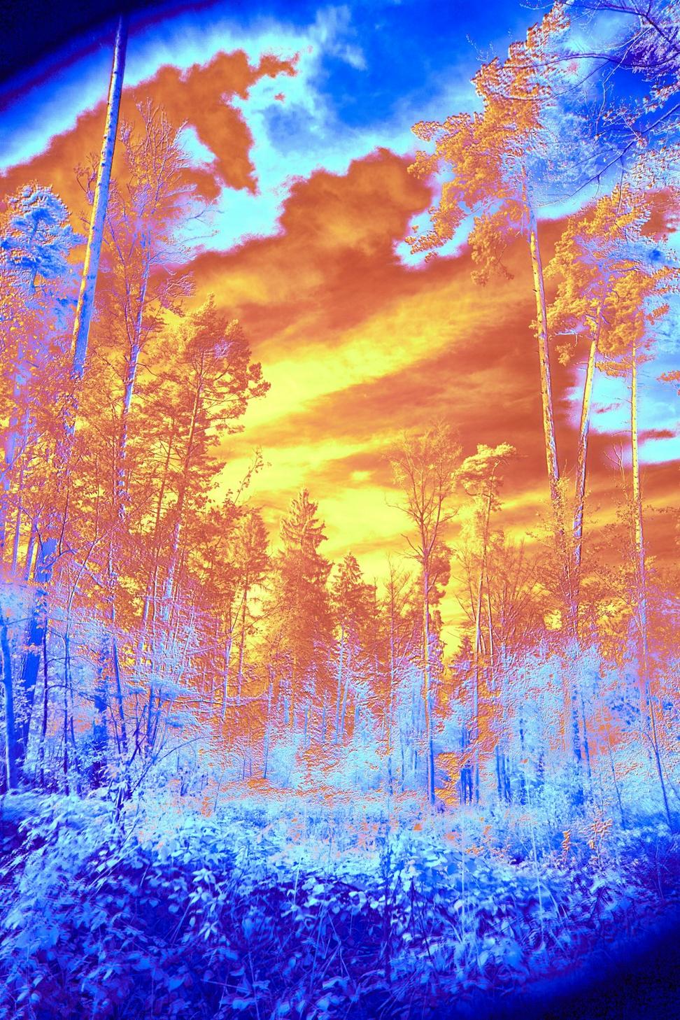 Before and after thermal imaging